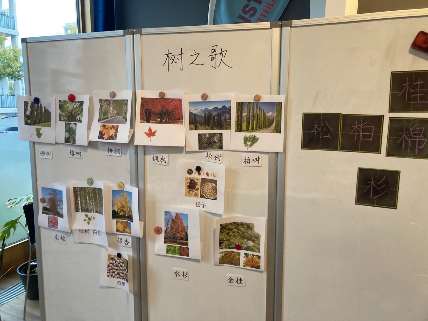 《树之歌》主题墙